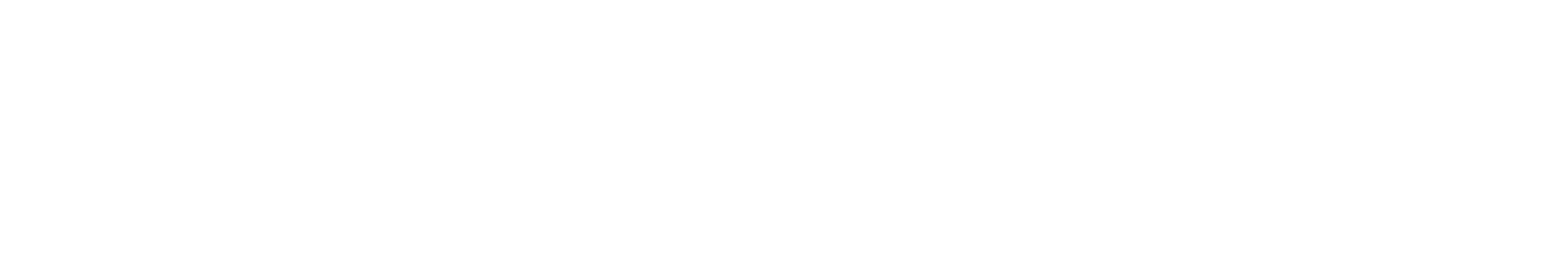 AV&DP GmbH